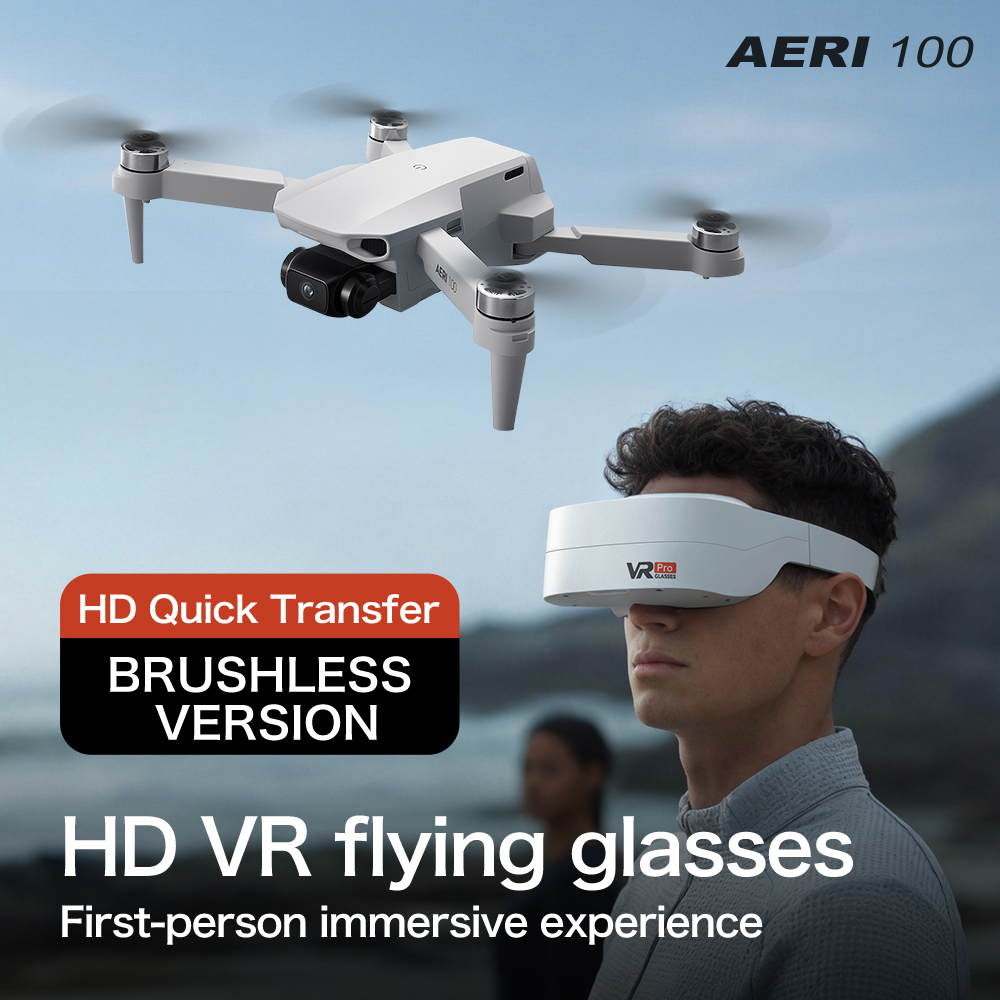 AERI100 VR-Version Monitor-Dro – Esc 4In1 Brushless Bewertung und Preis